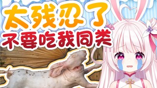 Loli Rabbit was tricked into watching the same food video? She screamed in anxiety!