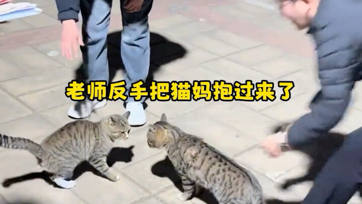 Giáo viên thì cứ gọi phụ huynh thôi!