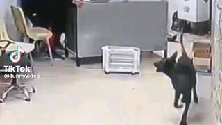 TikTok viral