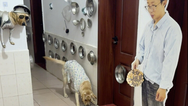 狗：这个家太诡异了