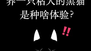 What's it like to have an affectionate black cat? Qiansuise is such a clingy little black kitty!