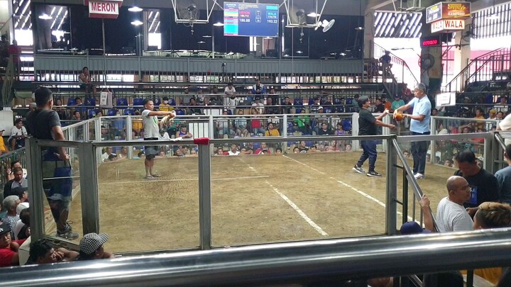 wpc national banded  semis zia and zion entry name ABBA21 GF
