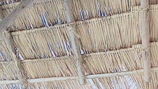 #เปิดการมองเห็น #กดติดตาม #กดติดตามแจกของรางวัล!!!!