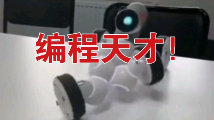 [沙雕观察]11 当你写了一串代码却能够流畅运行！