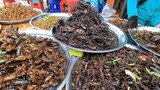 Trải nghiệm chợ côn trùng lớn nhất Campuchia, chơ côn trùng Skun, tháng 07.2019