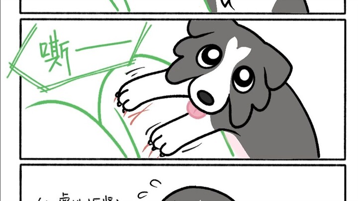 Anjing, master ungkapan emosional