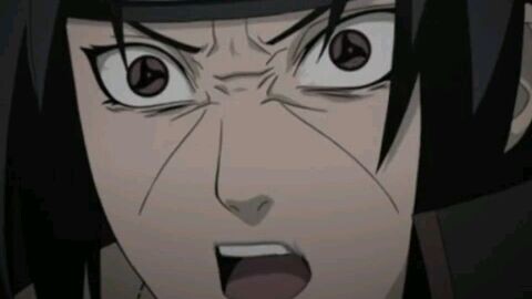 sebelum mati kejedot tembok😭