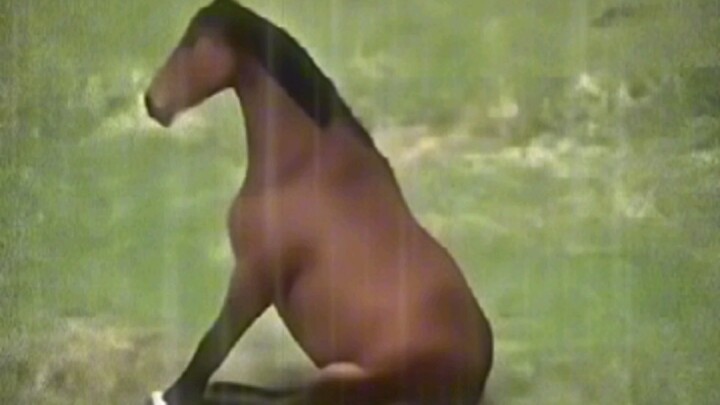 Ngựa: Có phải anh đã có người khác rồi không, sao lại dám cáu với tôi vậy