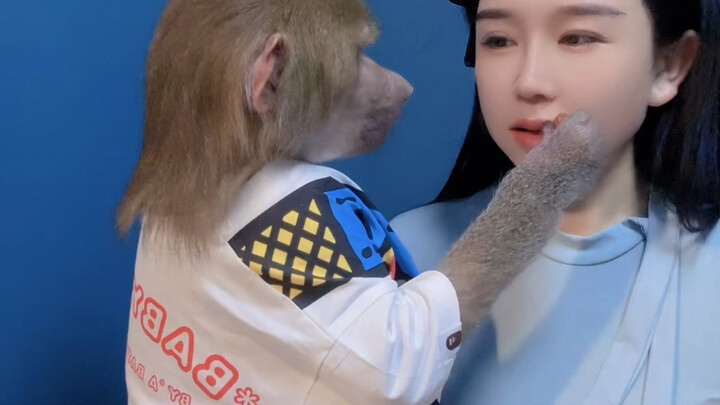 【พี่ยวนยวนผู้ดูแล】วิดีโอล่าสุดลงแล้ว ฝากติดตามด้วยนะ!
