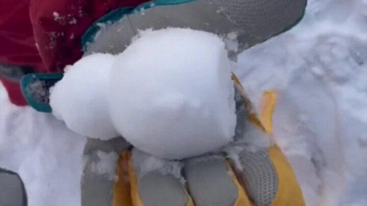 Only after giving did he cry out for his mom—A strong-willed Northeastern man