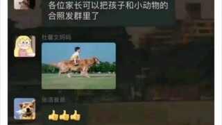 没问题，路虎也是虎，捷豹也是豹