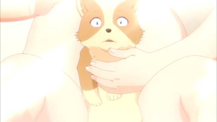 Kejadian Sebenarnya hanya 7 hari, tapi di bagi anjing sangat lama🤤