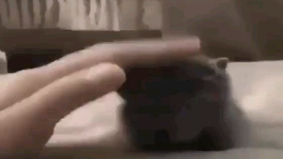 น้อนน่ารัก