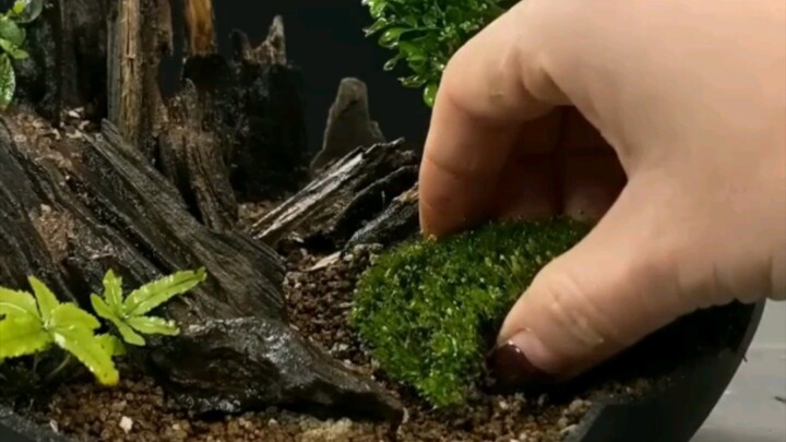 small little things, all the small things...