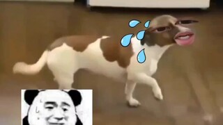 你咋啥事都赖我