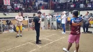 2nd Fight Win, 2 hits Ulutan, Champion, Sta Queteria Cockpit Arena