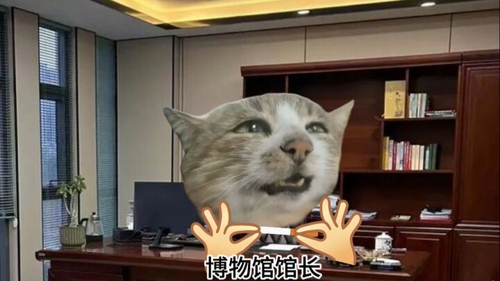 Other Museums vs. Shenzhen Museum