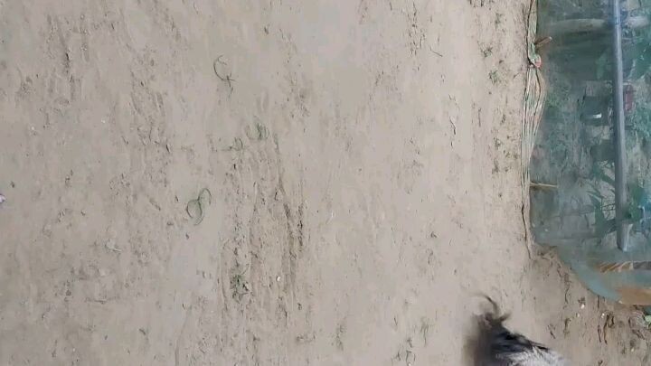 lipad itaas pa bulit vs bulit edit