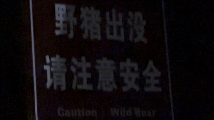 Got tricked by a student into climbing Zijin Mountain in the middle of the night