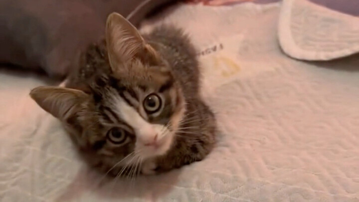 ที่แท้คุณเป็นเด็กชายเรียบร้อยนี่เอง