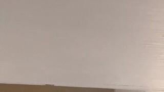 Don’t mess with a Klee Kai’s feeding schedule 😂