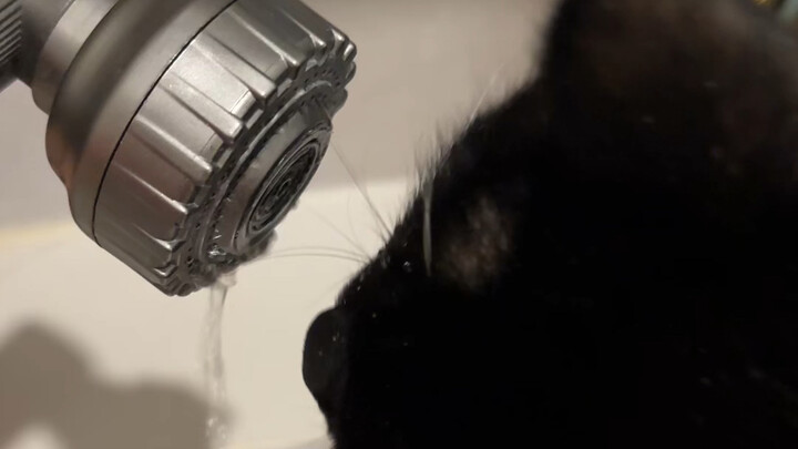 ลูกจ๋า แม่ไม่ได้ตั้งใจจริงๆ