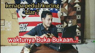 Alasan Peduli Dengan Kucing Liar |Sejak Kapan Mulai Kasih Makan Kucing Liar ( QnA)