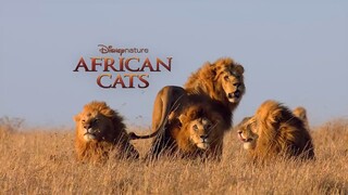 African Cats_ Watch Full Movie Link In Description