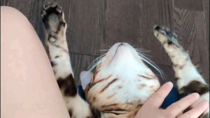 I think it was just stretching.