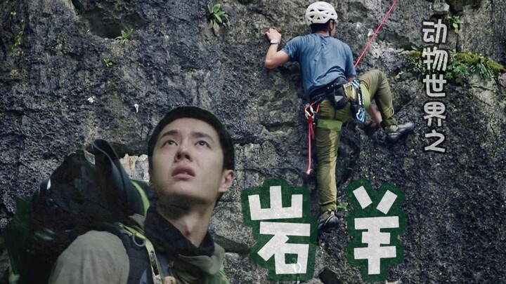 Who would dare mess with a blue sheep? Wang Yibo | Hilarious—there’s no fan zone he can’t break into