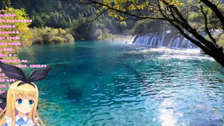 [Edit/B Limited] JS's cute reaction when he was frightened by an umbrella [About Usage]