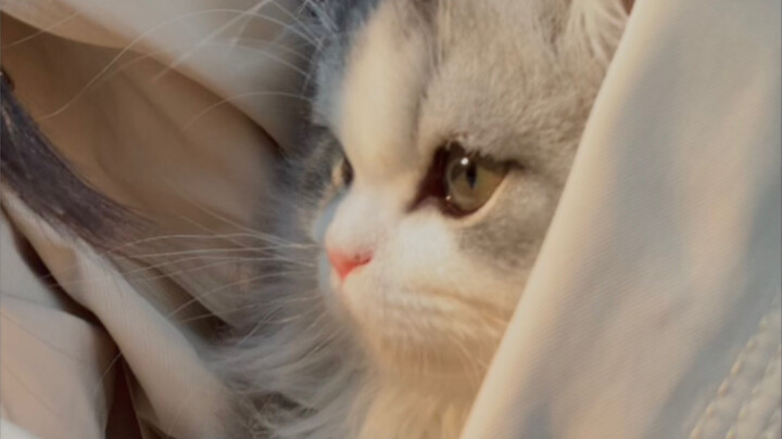 รอสายลมมา