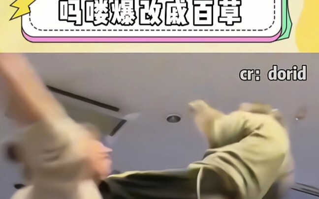 Mao Mao's Radical Makeover of Qi Bai Cao