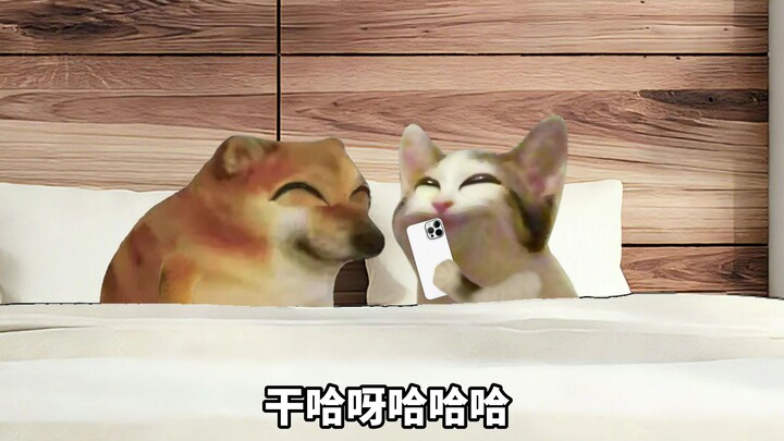 Cân nặng của tôi là 70.000 gram, mời bạn bắt đầu màn trình diễn!