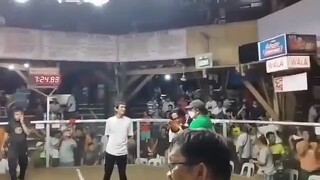 gab White 3rd fight win wpc3 elim.