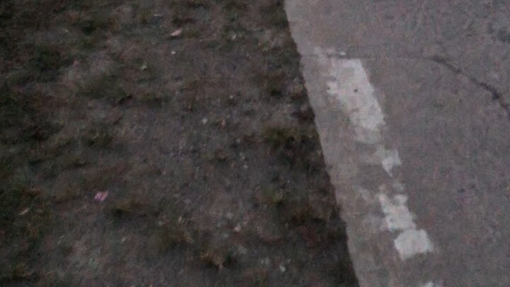 Malinao Dam, Pilar, Bohol