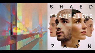 Trampoline / everything i wanted — SHAED and Billie Eilish (Mashup!)