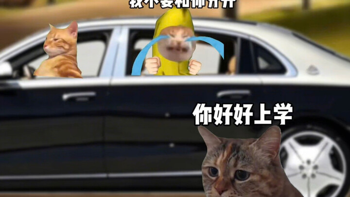 ความรักที่ถูกกำหนดให้ต้องแยกจากกัน การได้พบกันมีความหมายอะไร