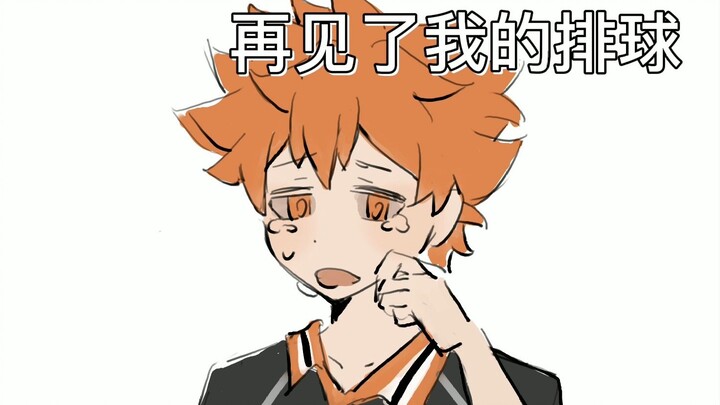 【排球少年/日向中心】再见了，我的排球...