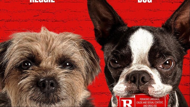 Strays.2023.REPACK Watch Full Movie : Link in Description