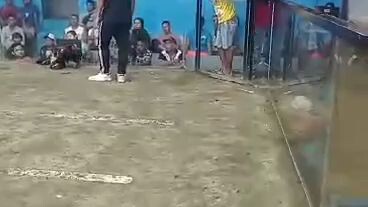 pag vs sbr alimboyogin win