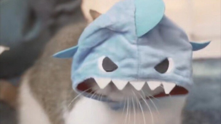 【Bantuan】Aku nggak terima kalau masih ada yang belum nonton video Bantuan potong kuku ini!