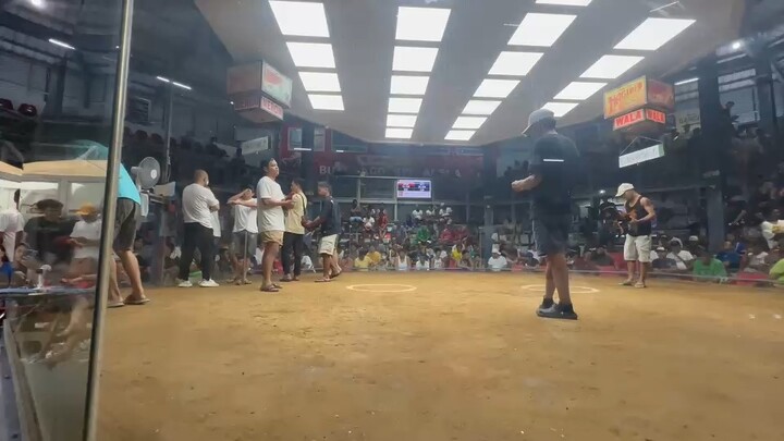 TL Gold (win unscratched) Bustos Coliseum