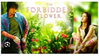 THE FORBIDDEN FLOWER Episode 9 Tagalog Dubbed