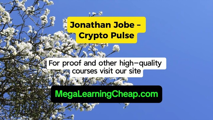 Jonathan Jobe – Crypto Pulse