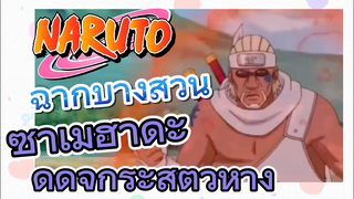 [นารูโตะ] ฉากบางส่วน |  ซาเมฮาดะดูดจักระสัตว์หาง