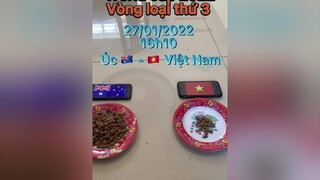 Chó nhà em khôn quá ☺️ thucung hundehouse poodle bongdavietnam