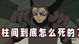 Hashirama’s real cause of death revealed! There are important details hidden in Tsunade, and Madara 