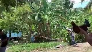 chamba gaming, ibabaw tahid and tari