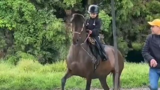 The horse pretends to gallop to give the little rider a better sense of riding